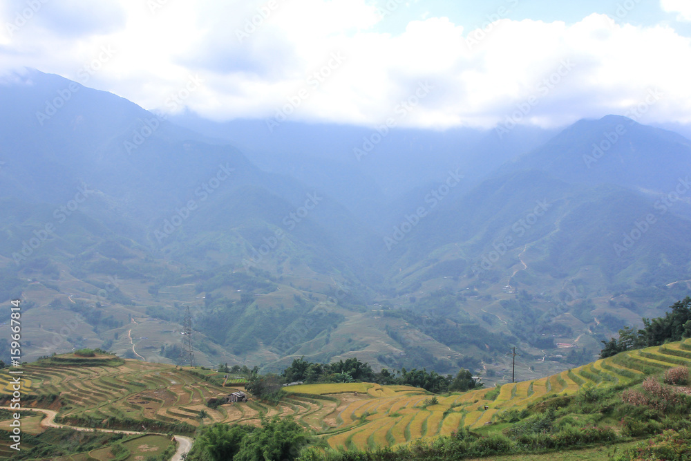 many terraced rice fields with Hmong village in Sapa