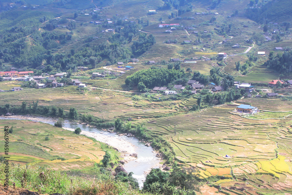 Naklejka premium many terraced rice fields with Hmong village in Sapa