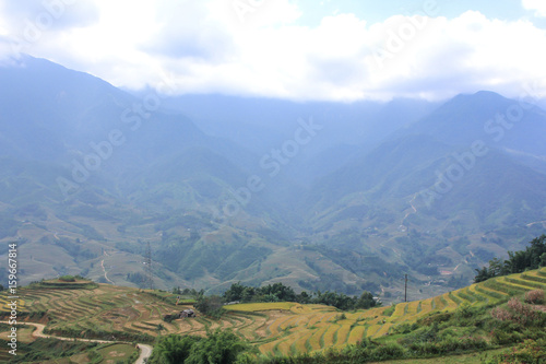 many terraced rice fields with Hmong village in Sapa © siewwy84