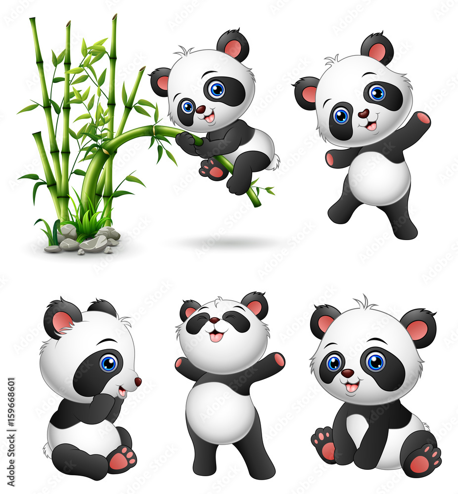 Naklejka premium Kolekcja cute baby pandy