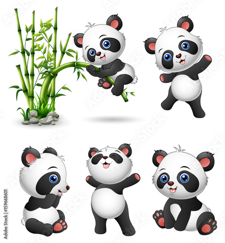 Fototapeta Naklejka Na Ścianę i Meble -  Cute baby pandas collection