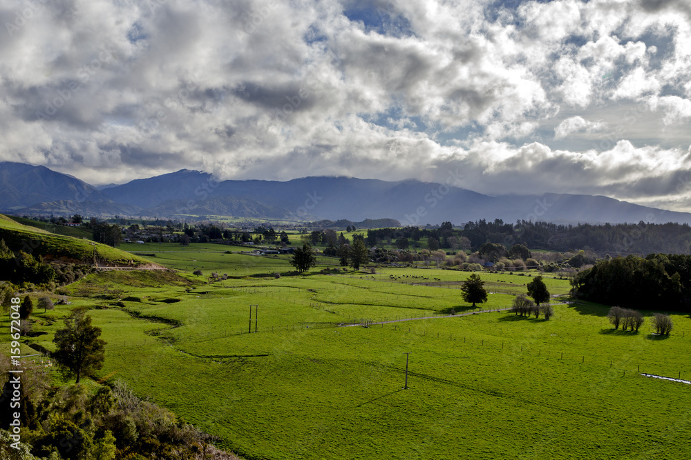 Grove Scenic Reserve Grove Scenic Reserve