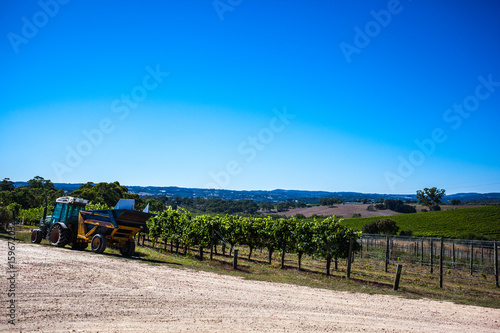 winery farm