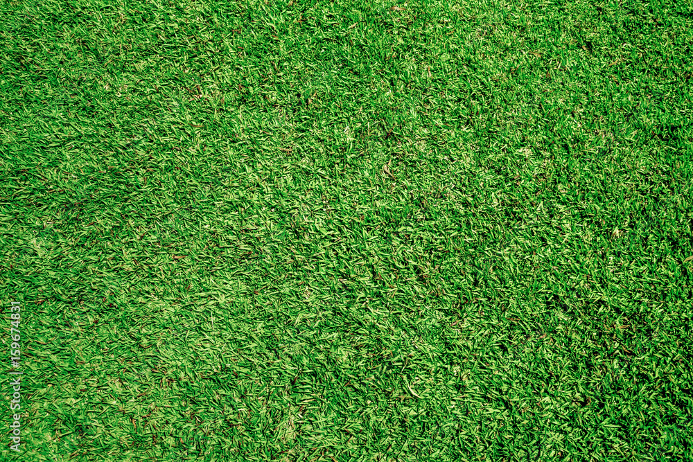 Obraz premium Green artificial grass