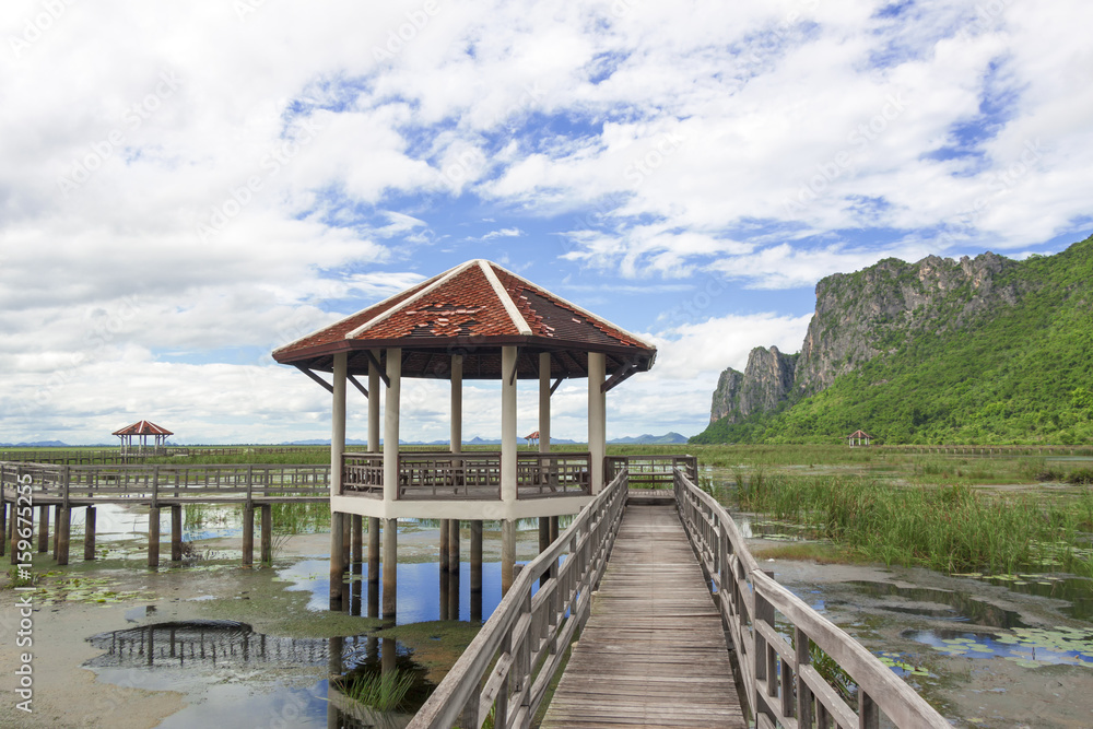 The wood bridge