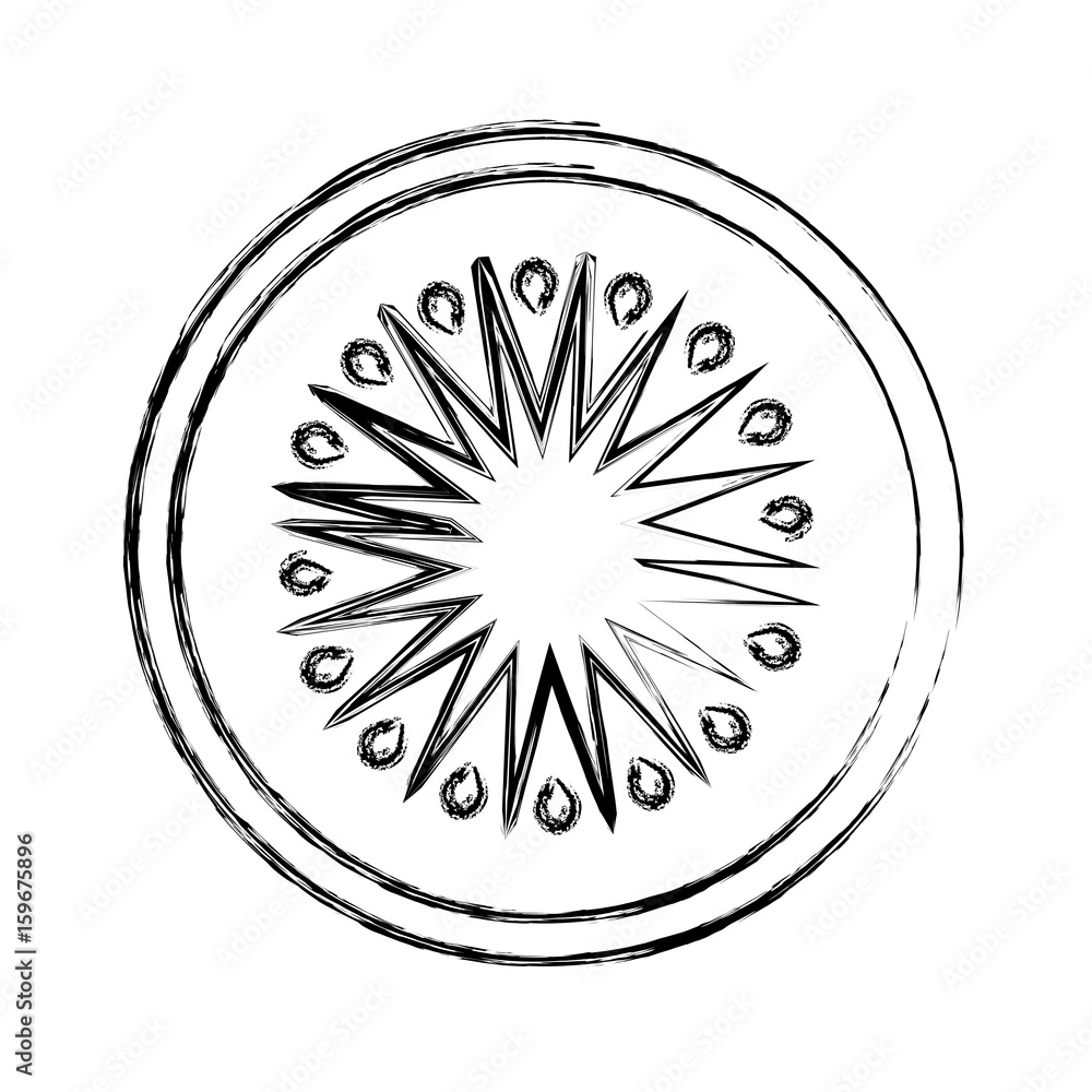 kiwi slice icon over white background vector illustration