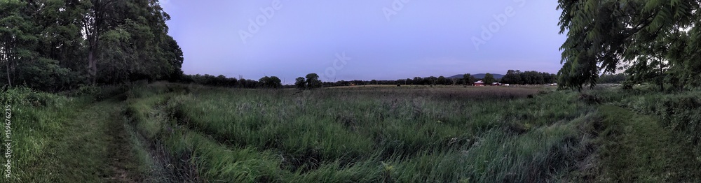Grassland panorama at dusk