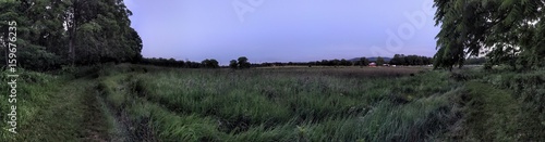 Grassland panorama at dusk
