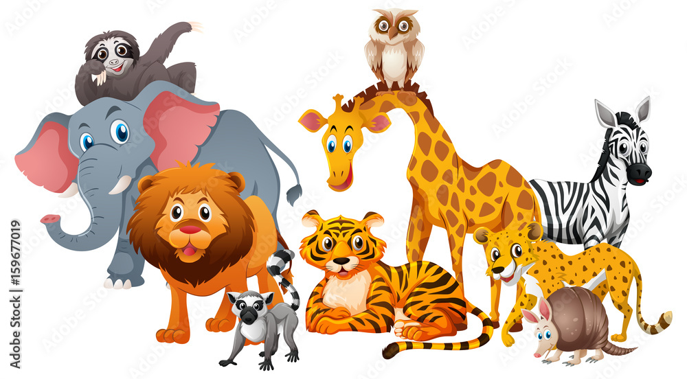 Naklejka premium Different types of wild animals on white background