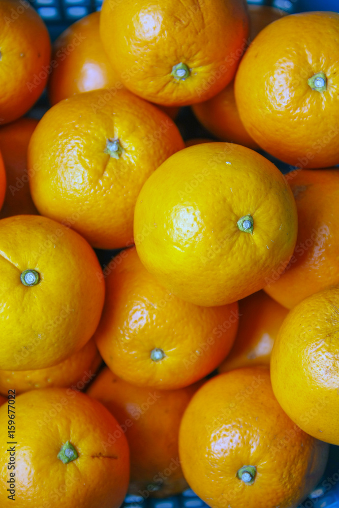 oranges oranges