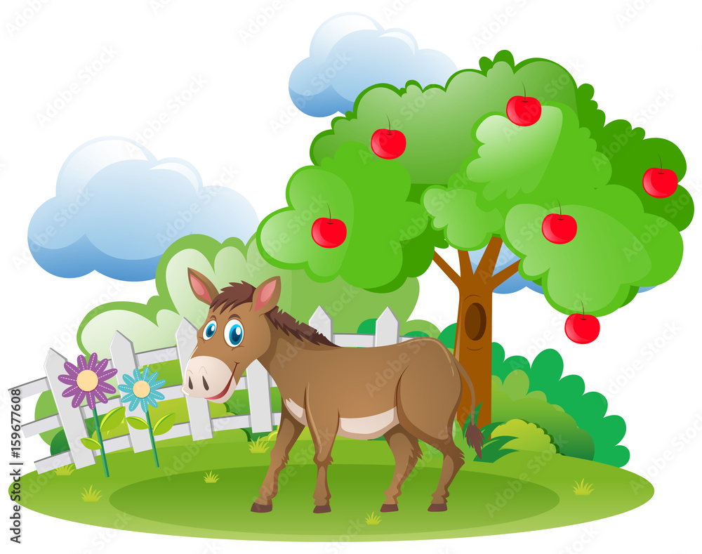 Donkey and apple tree in the farm