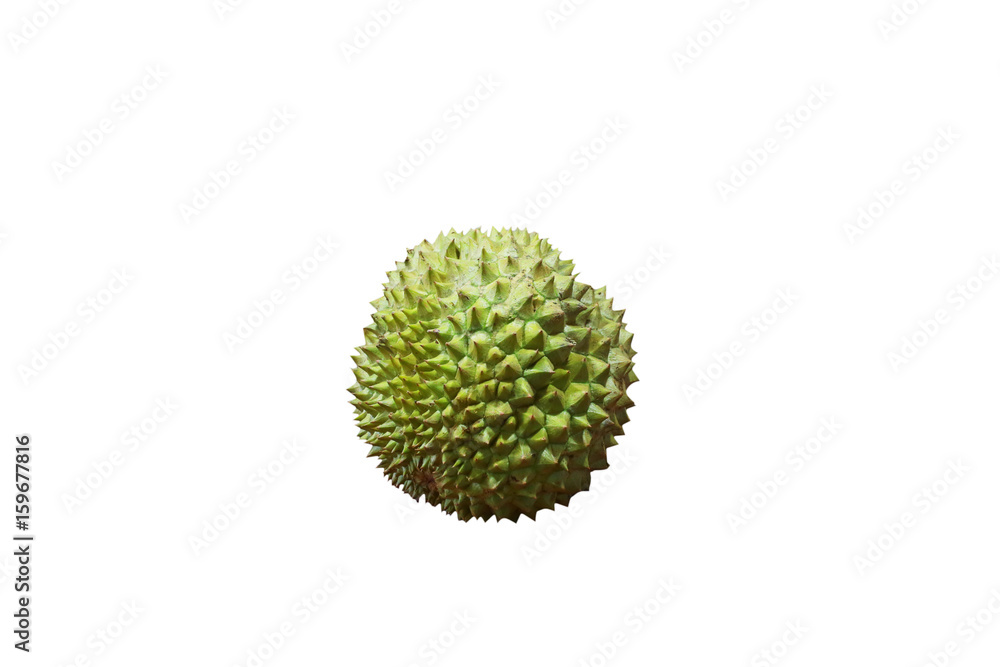 durian isolated white, Asia fruit, healthy food durian isolated white, Asia fruit, healthy food