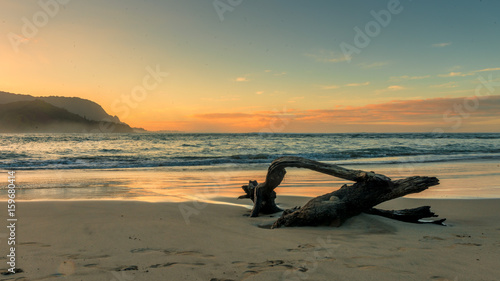 Fototapeta Naklejka Na Ścianę i Meble -  driftwood at sunset on beach 
