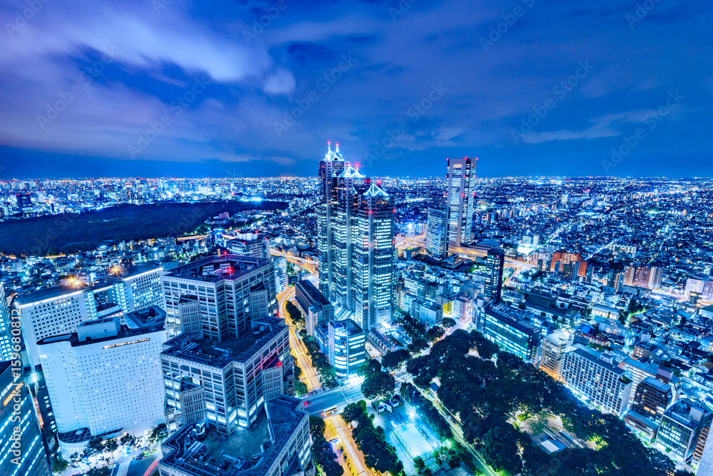 Fototapeta premium 東京の夜景