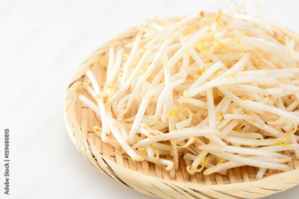 もやし もやし