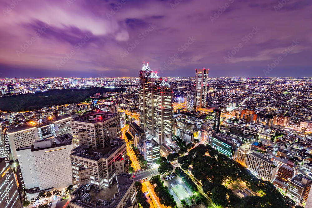 Obraz premium 東京の夜景