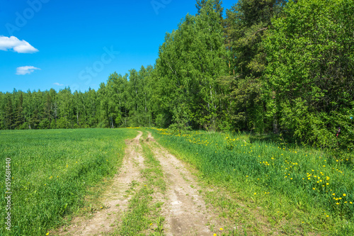 Rural road on the edge of green fields.