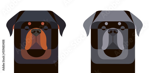 Colored and gray Rottweiler portrait in geometric style