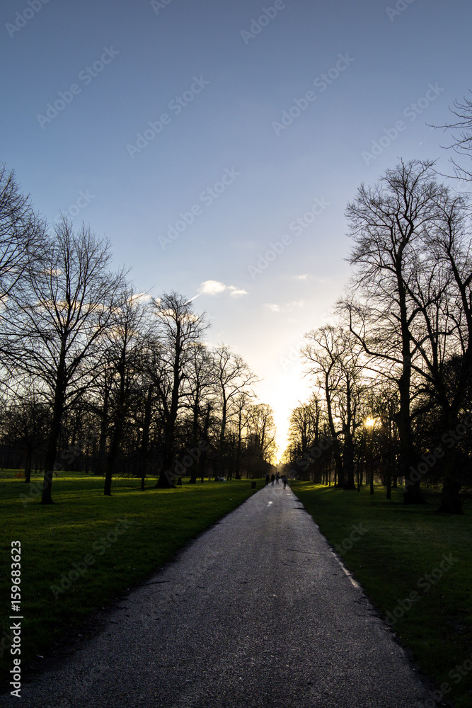 Obraz premium Pathway