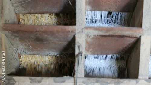 Wallpaper Mural Rice mill by local wood machine in The north of Thailand. rice mill machine during working. Torontodigital.ca