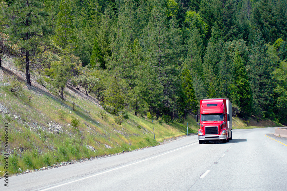 Modern red semi truck with trailer move cargo uphill on awesome green highway with forest trees on roadside hills