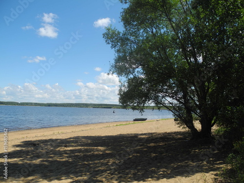Sandy river beach on a Sunny summer day with the willow on the shore © Николай Ерастов