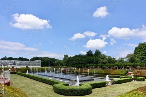 ６月の自然公園