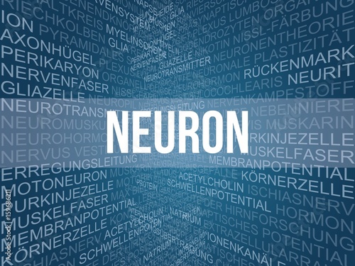 Neuron photo