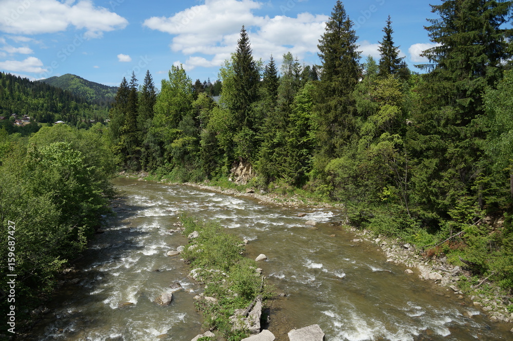Nice view of the mountain river. The mountain river flows rapidly among the Carpathian mountains and coniferous forests. Nice view of the mountain river. The mountain river flows rapidly among the Carpathian mountains and coniferous forests.