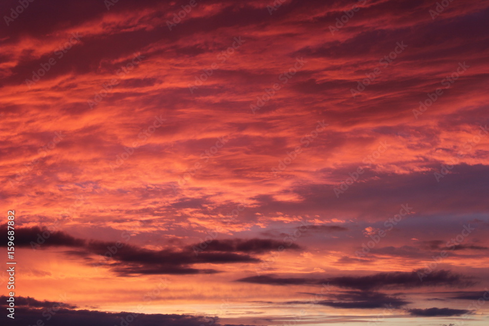 Fototapeta premium sunset