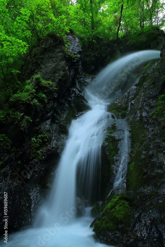 Fototapeta Naklejka Na Ścianę i Meble -  夏の七折の滝