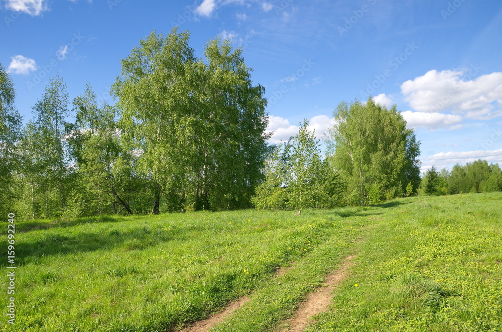 Spring landscape with road Spring landscape with road
