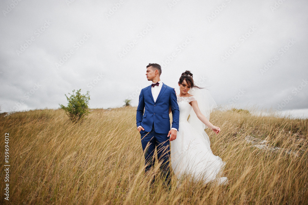 Fantastic wedding couple walking in the tall grass with the pine trees and rocks in the background holding hands. Fantastic wedding couple walking in the tall grass with the pine trees and rocks in the background holding hands.