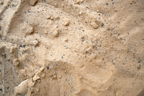 Sand on a summer sunny beach concept.