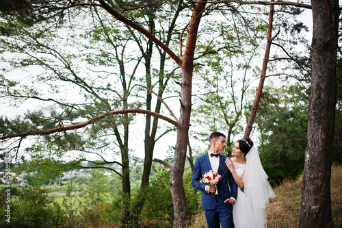 Beautiful young wedding couple admiring each other in a pine tree forest.