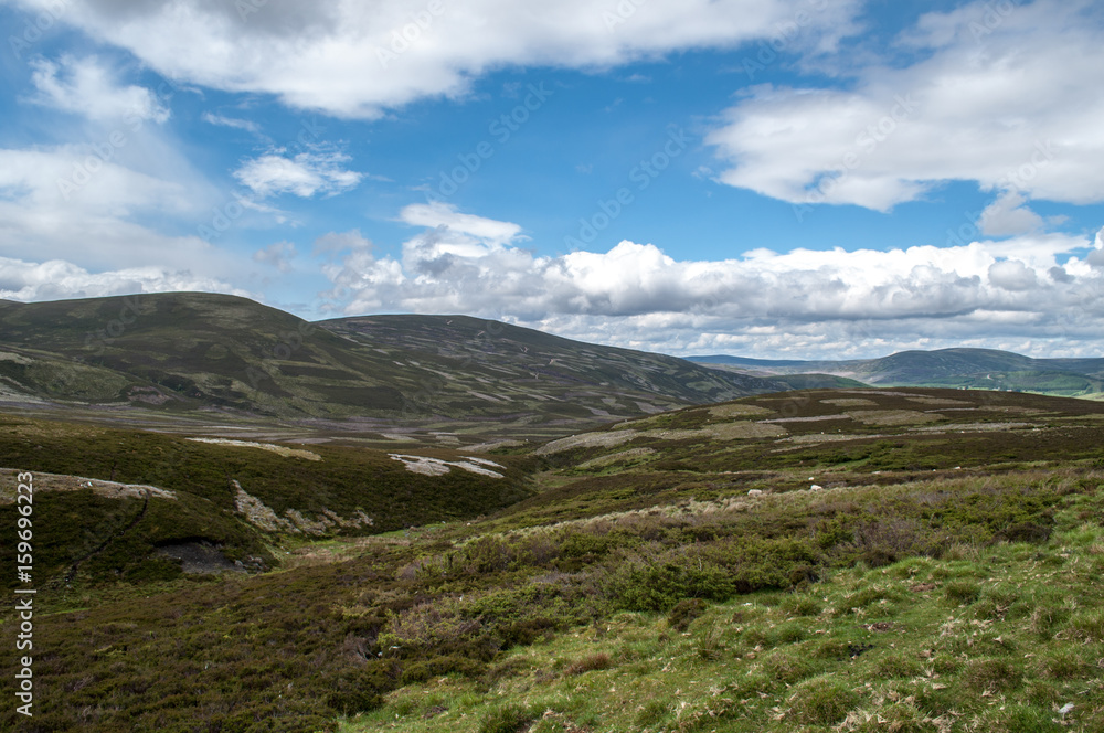 Fototapeta premium Highland landscape in summer in Scotland.