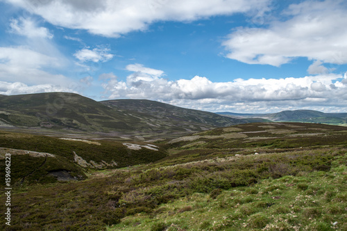 Highland landscape in summer in Scotland.