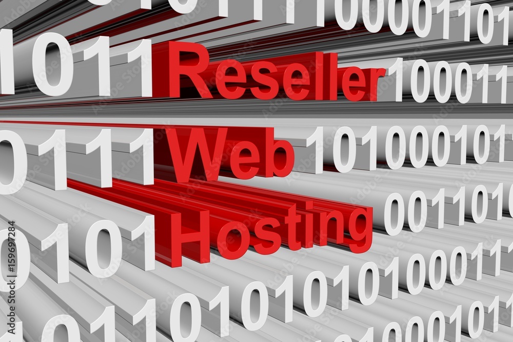 Reseller web hosting in the form of binary code, 3D illustration