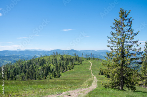 Fototapeta Naklejka Na Ścianę i Meble -  Beskidy 3