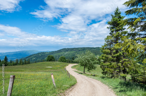 Fototapeta Naklejka Na Ścianę i Meble -  Beskidy 4