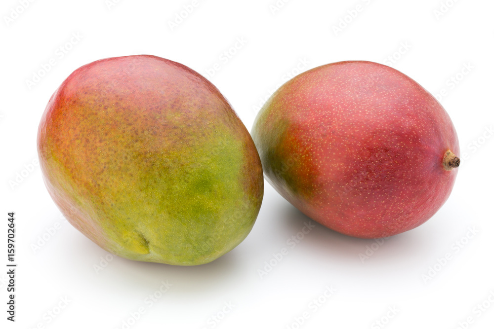 Mango fruit isolated on white background . Mango fruit isolated on white background .