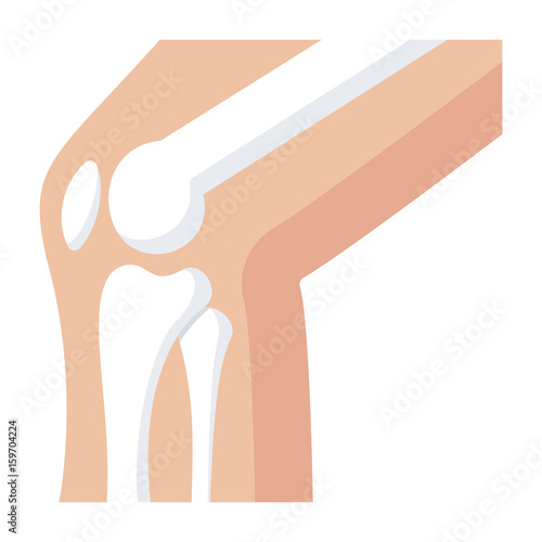 Orthopedics concept with knee joint bones, vector illustration in flat style