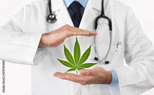 Fototapeta Naklejka Na Ścianę i Meble -  doctor hands with marijuana symbol medical concept