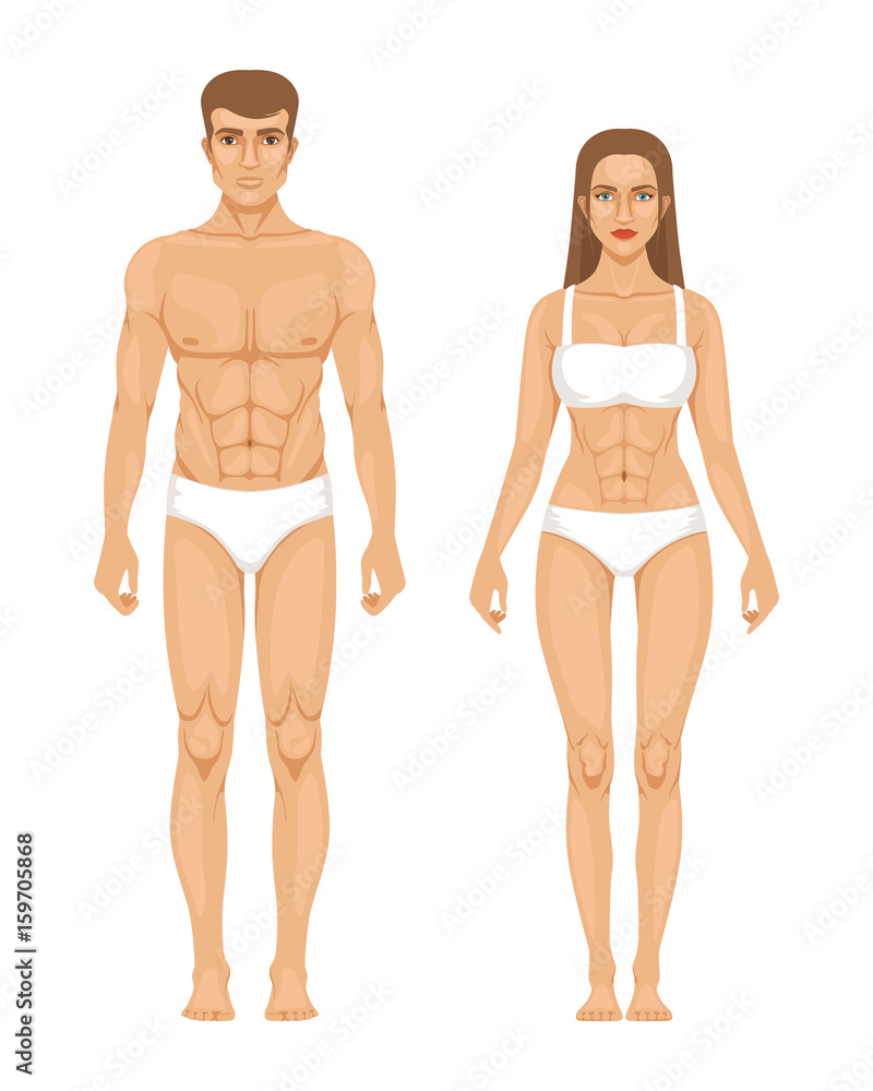 Model of sporty man and woman standing front view. Different body parts. Vector illustration Model of sporty man and woman standing front view. Different body parts. Vector illustration