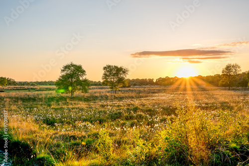 Obraz na plátně Wierdense veld Dutch Landscape