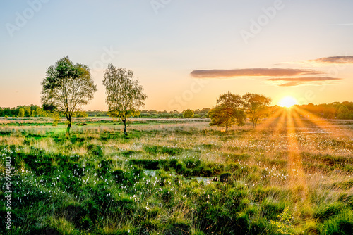 Wierdense veld Dutch Landscape photo