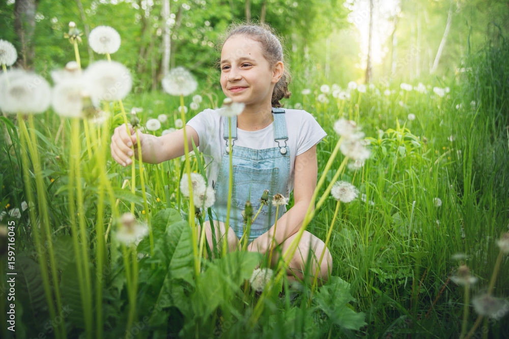 The child girl collects fluffy white dandelions in the tall grass. The child girl collects fluffy white dandelions in the tall grass.