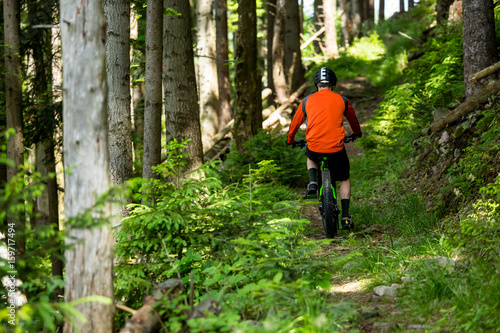 Biker is riding uphill in the old forest. © Taras