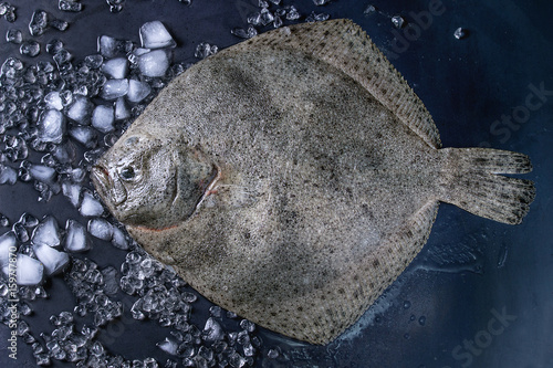 Fototapeta Raw fresh whole flounder fish on crushed ice over dark wet metal background