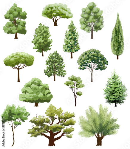 various types of trees on white. hand drawn illustration